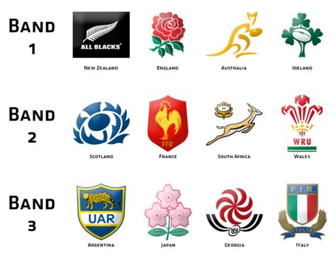 Rugby World Cup 2019 An Logo - Carpet Vidalondon