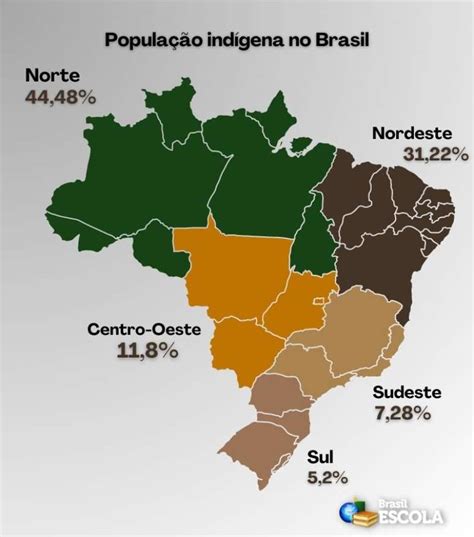 Popula O Ind Gena No Brasil De Quase Milh O