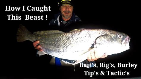 MULLOWAY HOW I CAUGHT THIS BEAST BAIT RIG BURLEY LANDING THE