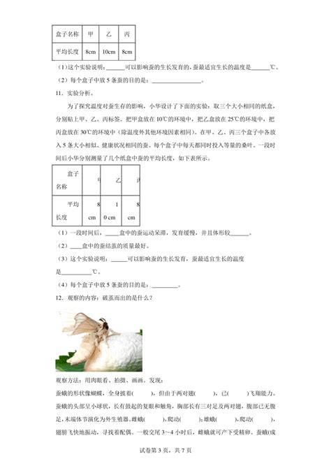 题型专练 实验题 三年级科学下册 教科版（含答案 ） 21世纪教育网