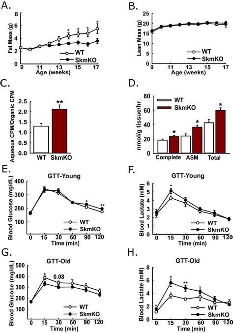 Impaired Skeletal Muscle Mitochondrial Pyruvate Uptake Rewires Glucose