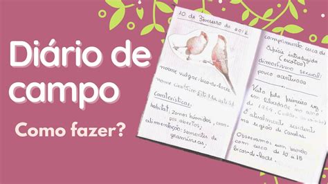 Como Fazer Um Diario De Campo Braincp