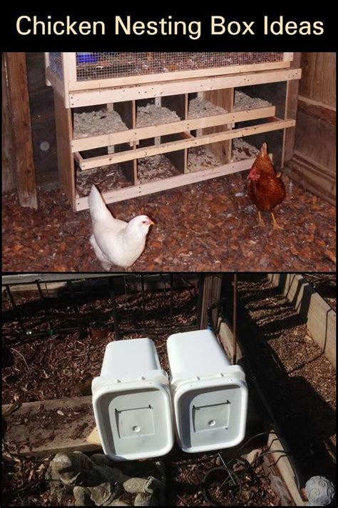 6 Creative Chicken Nesting Box Ideas - The Owner-Builder Network ...