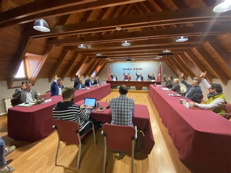 El Consell d Aran afea al Parlament que relegase el aranés como lengua