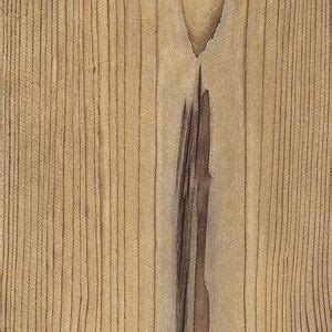 FS1487 W3 Пихта Брамберг