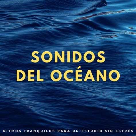 Sonidos Del Océano Ritmos Tranquilos Para Un Estudio Sin Estrés