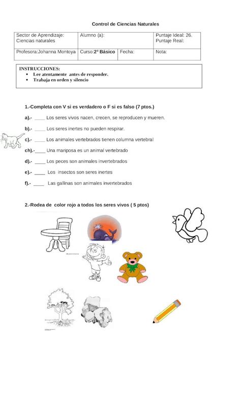 Doc Prueba Coeficiente Ciencias Naturales Seres Vivos E Inertes