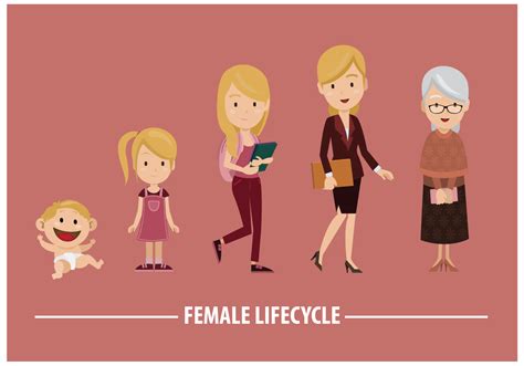 Free Female Lifecycle Vector Vector Art At Vecteezy