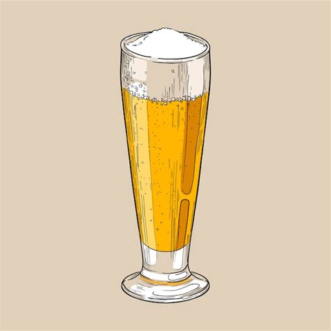 Vaso De Cerveza Pilsner Dibujado A Mano Vector Ilustraci N Multicolor