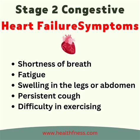 What Are The 4 Stages Of Congestive Heart Failure: From Stage 1 to ...