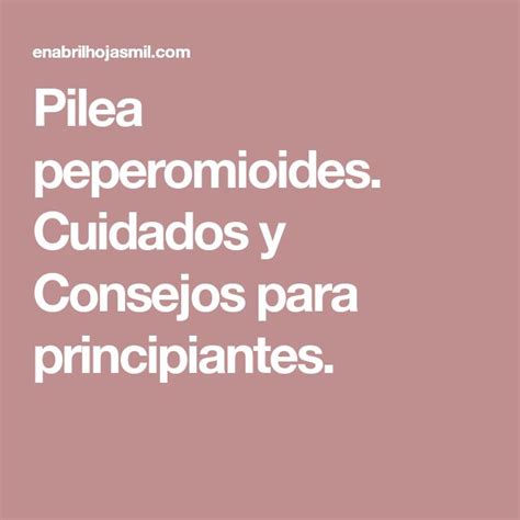 Pilea Peperomioides Cuidados Y Consejos Para Principiantes Pilea