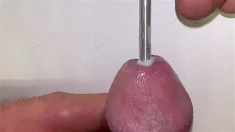 Micropenis And Precum Shemale Mature Porn Video E Xhamster