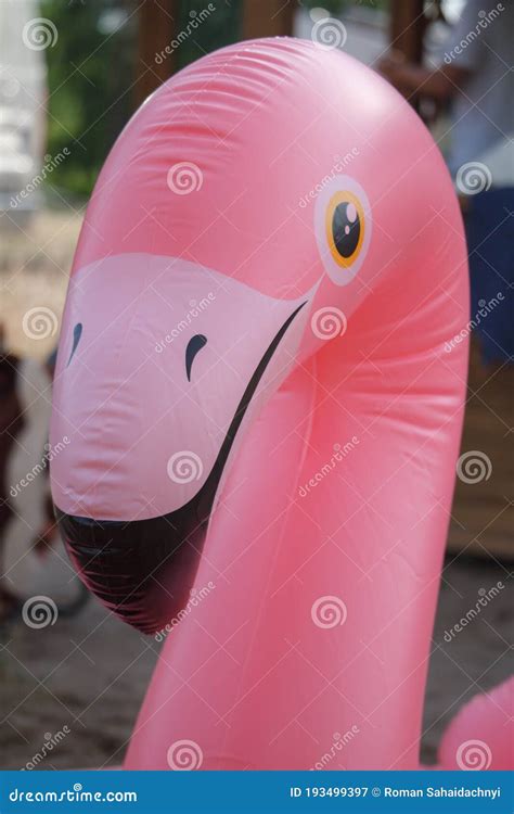 Giant Inflatable Pink Flamingo Float Toy On Sandy Beach Of River Summer Vacation Concept Stock