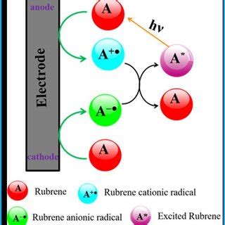 Schematic Illustration Of The Ecl Emission By Rubrene Molecule Via