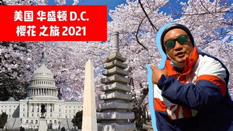 Washington Dc Cherry Blossoms Vlog Youtube