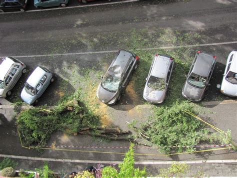 Maltempo Strage Di Alberi E Auto Distrutte A Ostiense La Repubblica