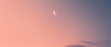 Litigation Update to Homeowners - Todd Creek Farms