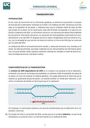 Procesos Gen Ticos De La S Ntesis De Prote Nas La Transcripci N