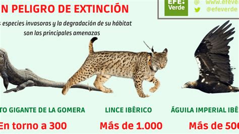 Especies endémicas en sus hábitats conservación en España