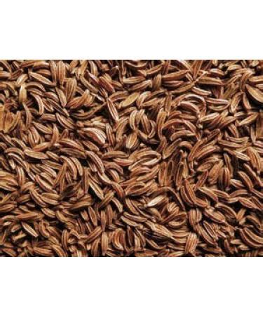 Spicy World Caraway Seeds Pound Bulk Bag