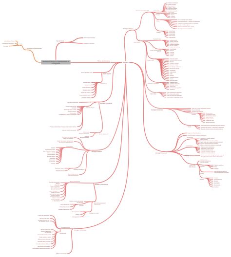 Entre As Abordagens Contemporâneas De Estruturação Organizacional