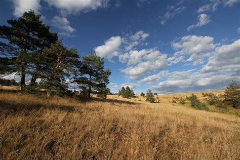 About Zlatibor - Mountain in Serbia