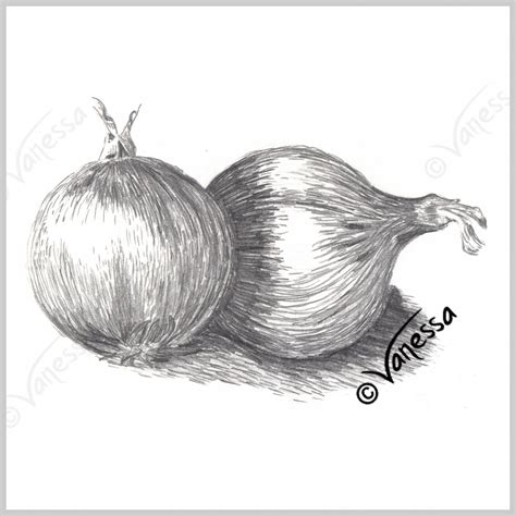 Vegetables With Pencil Shading Vegetables set pencil illustration
