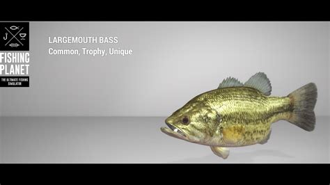 Fishing Planet Quanchkin Lake Trophy Largemouth Bass Float