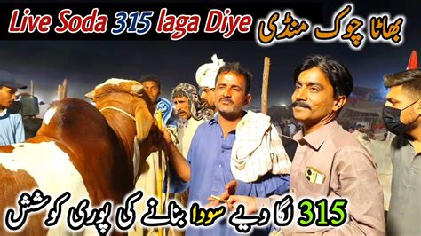 Live Soda Bhatta Chowk Mandi Update June Vip Tents Fatehjangi