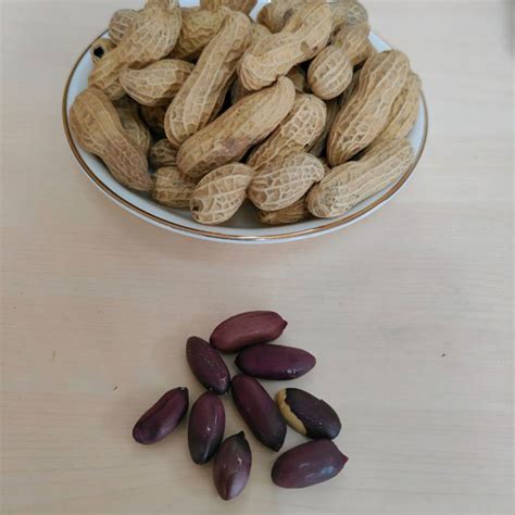 Продукция - ООО Сучжоуская торговая компания "Цзювэйлэ"