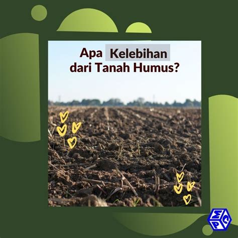 Cara Menghitung Berat Jenis Tanah Humus - IMAGESEE