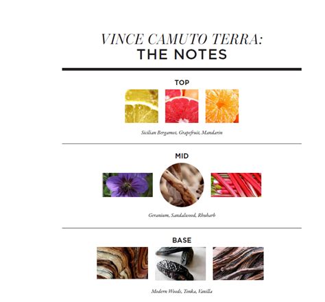 Introducing: Ciao and Terra, New Fragrances by Vince Camuto - Scentbird ...