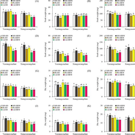 The Fresh Weight Of Shoot A Root B And The Whole Seedling C At