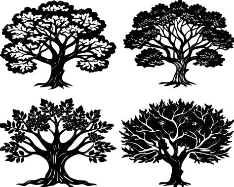 Detailed Old Oak Tree Botanical Art Perfect for Nature Enthusiasts