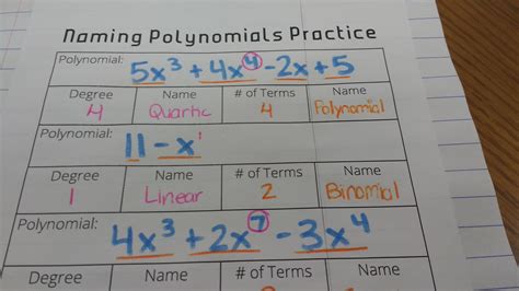 Math Love What In The World Is A Polynomial