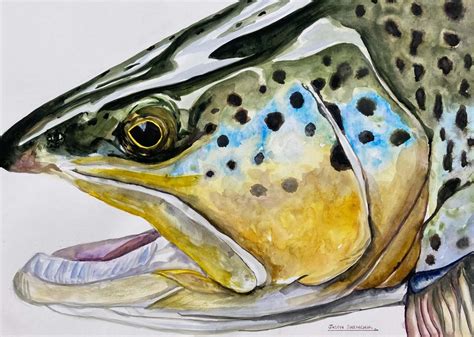 Brown Trout Expression - WADEOUTTHERE