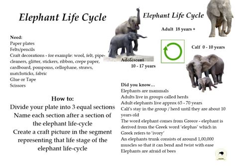 LIFE CYCLES Science Kiwis