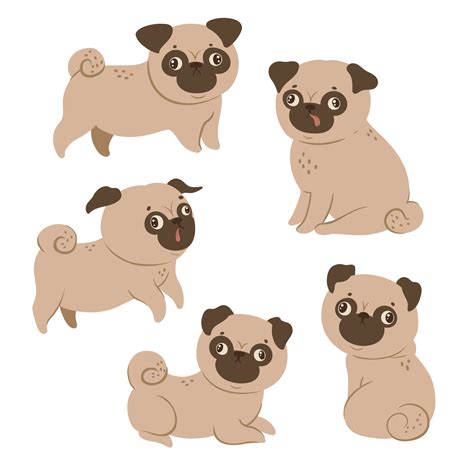 Set Of Cute Pugs Isolated On A White Background Vector Graphics