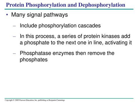 Cell Communication Ppt Download