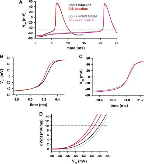 Simulated Action Potential Waveforms In The Soma And Ais We Used The Download Scientific