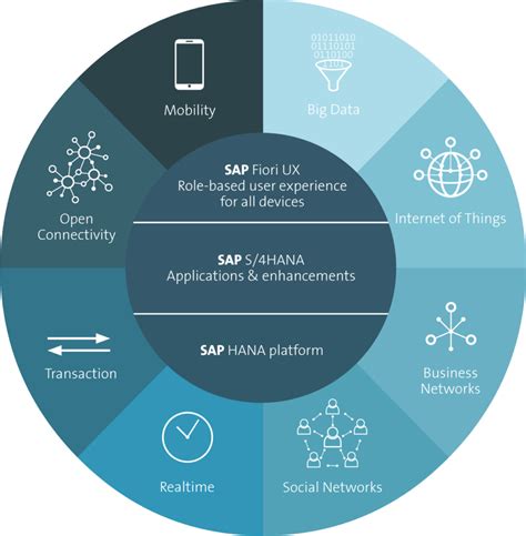 Myway Intelligent Erp Sap S Hana Processi