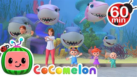 Cocomelon Baby Shark Episode