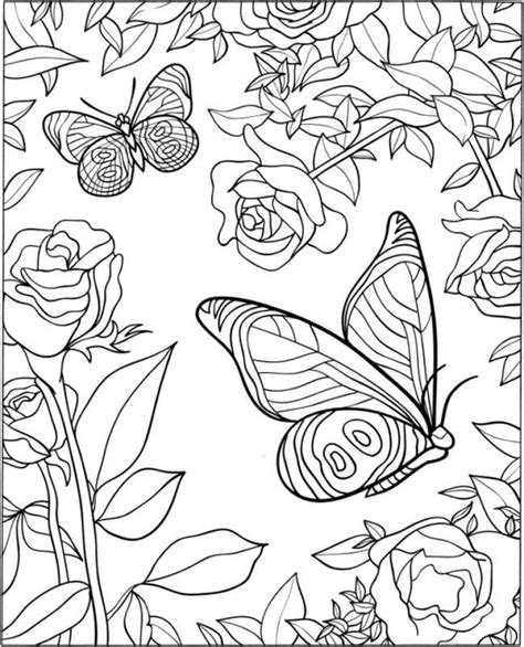 Desenhos de Borboleta para Colorir, Pintar e Imprimir - Colorir.Info