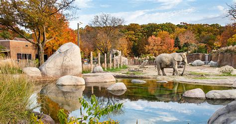 We Love Fall 5 Great Things About Visiting The Zoo In The Fall