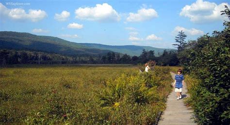 Boardwalk At Cranberry Glades West Virginia Explorer