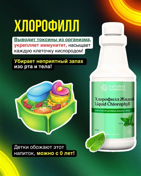 ВИТАМИНЫ | БАДы | NSP (Nature's Sunshine Products) | 💡 «Тяжесть ...