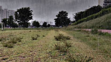 Fresh Cool Rain For Morning Walk White Noise Help Study Meditate