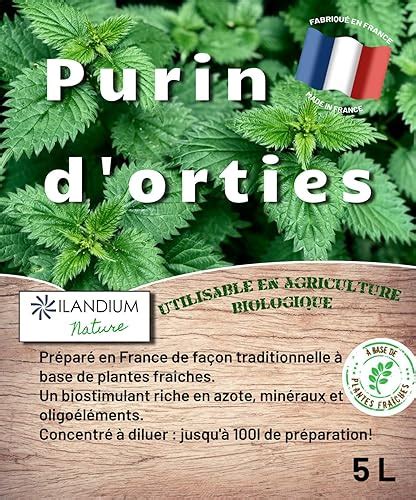 Les bienfaits du purin d ortie un allié naturel pour votre jardin