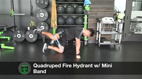 Quadruped Fire Hydrant W Mini Band Youtube