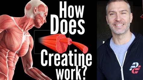 How Does Creatine Work Youtube